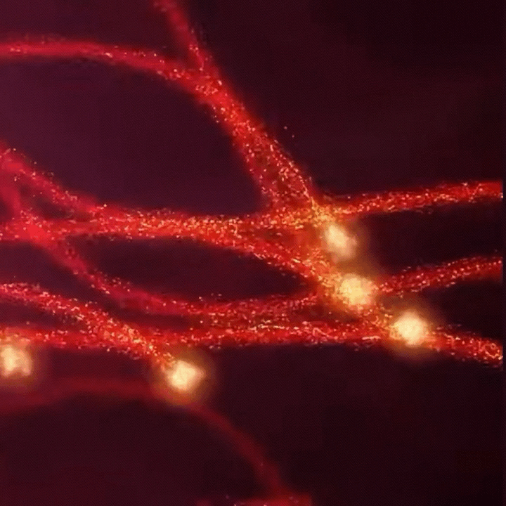 Original 7-LED MASK PRO 60% OFF